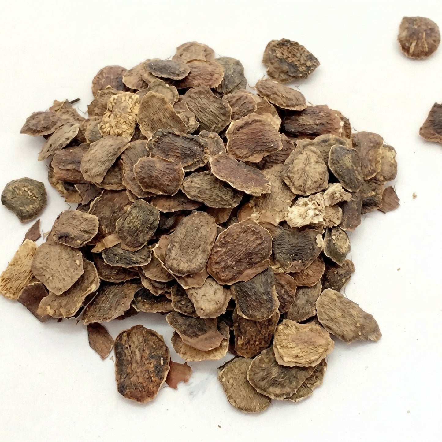 Dalbergia Odorifera Seeds – Yellow Rosewood Scented Ornamental Tree Seeds