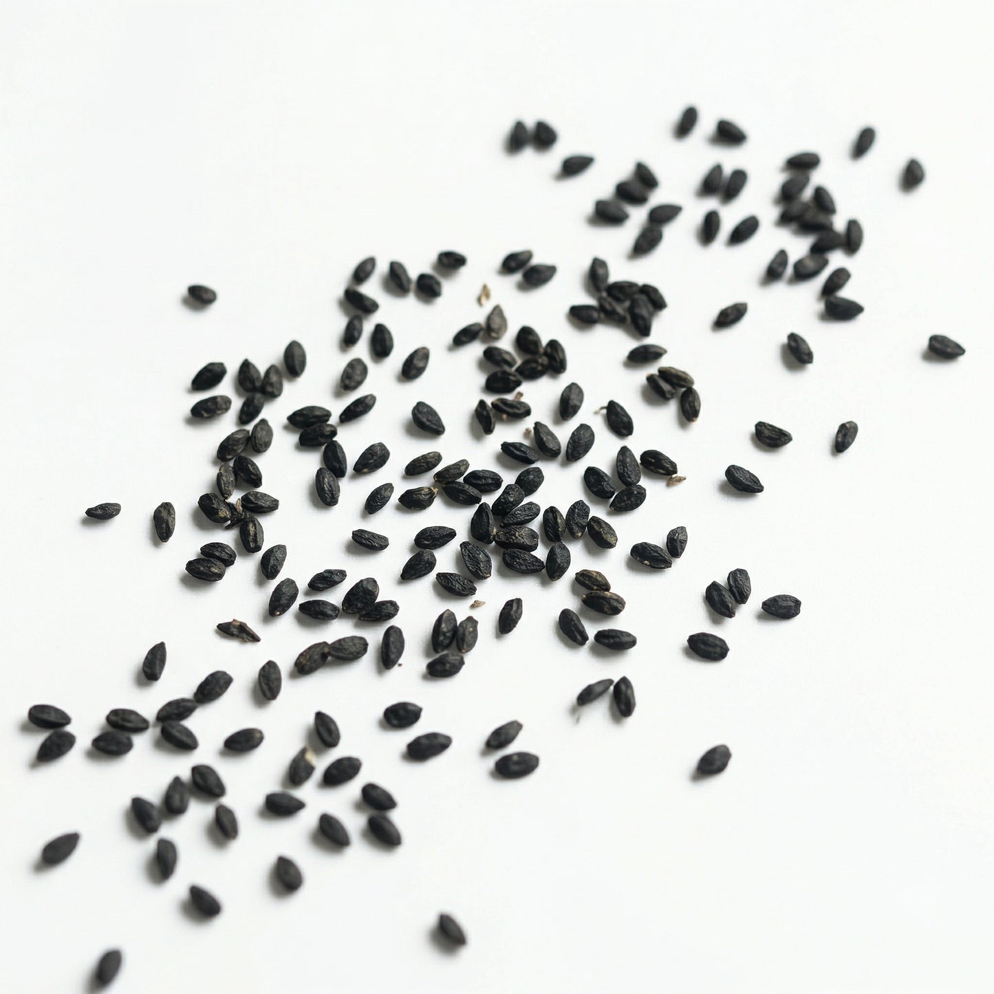 Platycodon Balloon Bellflower Seeds – Heirloom Perennial Flower Mix