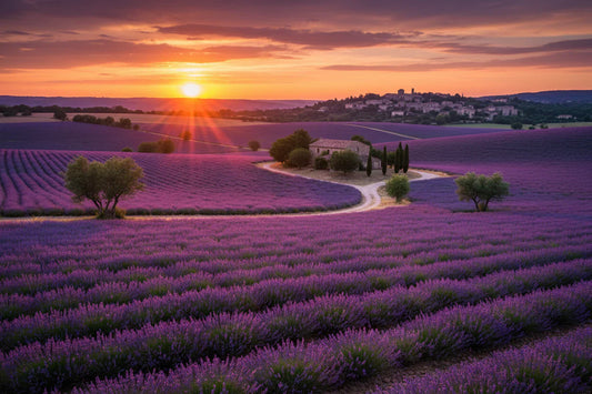 Eco-Friendly Gardening Tips for Healthy Plants