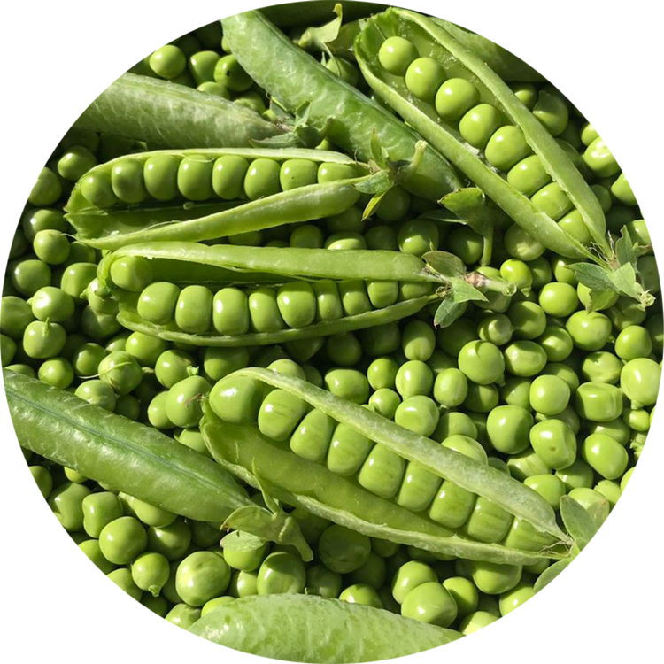 Beans & Peas