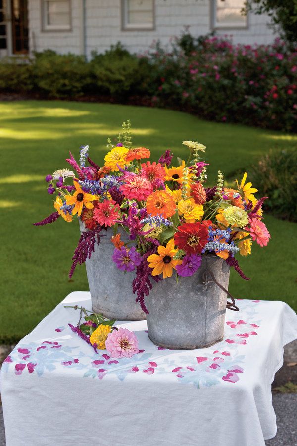 Cut Flowers