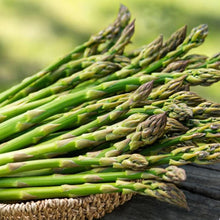 Asparagus Seeds Vegetable Plant for Garden Growing