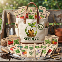 Assorted Vegetable & Herb Seeds Set – 50 Variety Garden Seed Pack