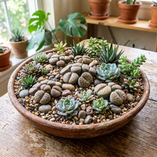 Lithops Seed Mix – Living Stone Succulent Seeds