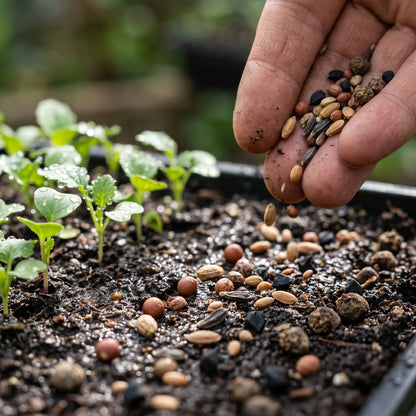 Mixed Vegetable Seeds Variety for Garden Growing
