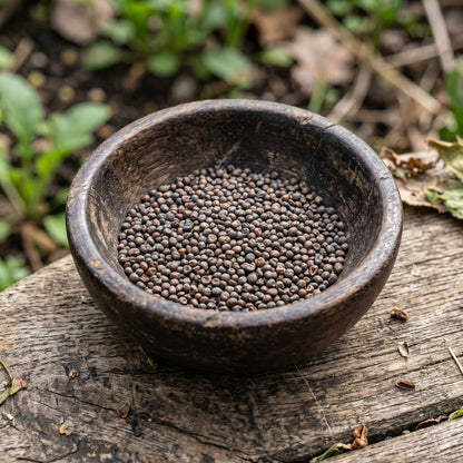Mibuna Seeds for Planting