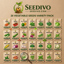 Mixed Vegetable Seeds Variety for Garden Growing