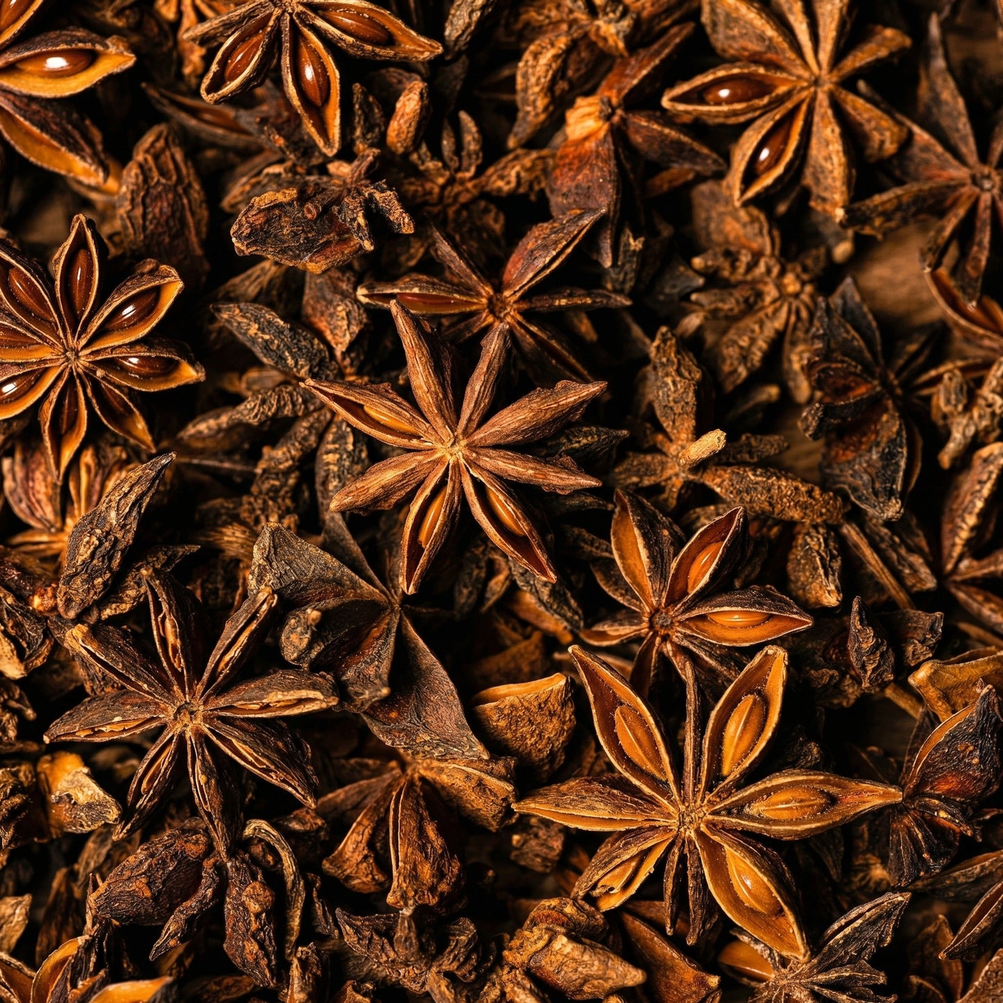 Star Anise Seeds Illicium verum – Aromatic Spice Tree Seeds