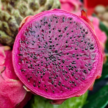 Red Dragon Fruit Seeds Pitaya – Exotic Cactus Fruit Heirloom Seeds