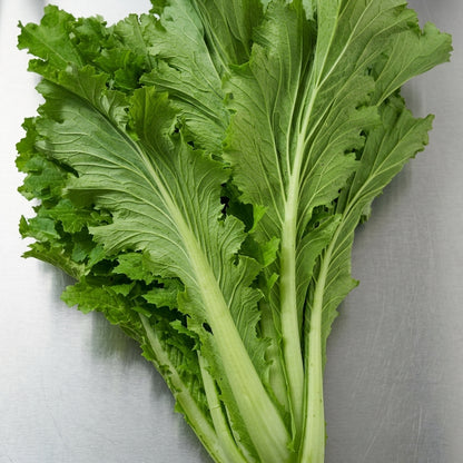 Michihili Chinese Cabbage Seeds – Heirloom Crisp Leafy Vegetable Seeds