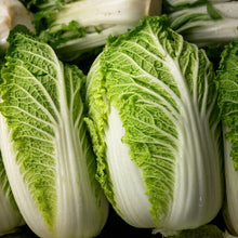 Michihili Chinese Cabbage Seeds – Heirloom Crisp Leafy Vegetable Seeds