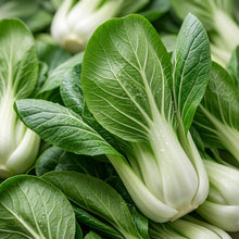 Baby Bok Choy Seeds Shanghai Green Stem – Chinese Cabbage Vegetable Seeds