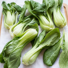 Baby Bok Choy Seeds Shanghai Green Stem – Chinese Cabbage Vegetable Seeds