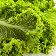 Southern Giant Mustard Green Seeds – Heirloom Spicy Leafy Vegetable Seeds