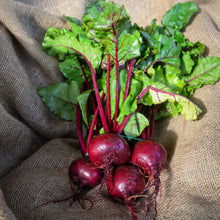 Detroit Dark Red Beet Seeds Beta vulgaris – Root Vegetable Garden Seeds for Planting