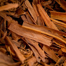 Cinnamon Tree Seeds Cinnamomum verum – Ceylon Cinnamon Evergreen Aromatic Tree Seeds
