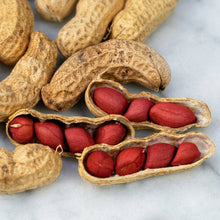 Tennessee Red Valencia Peanut Seeds Arachis hypogaea – Groundnut Seeds for Planting