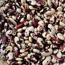 Jacob's Cattle Bean Seeds for Planting – Heirloom Bush Shelling Bean Vegetable Seeds