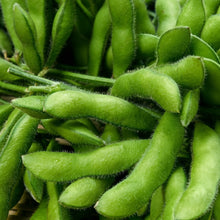 Karikachi Edamame Soybean Seeds – Vegetable Seeds for Home Garden