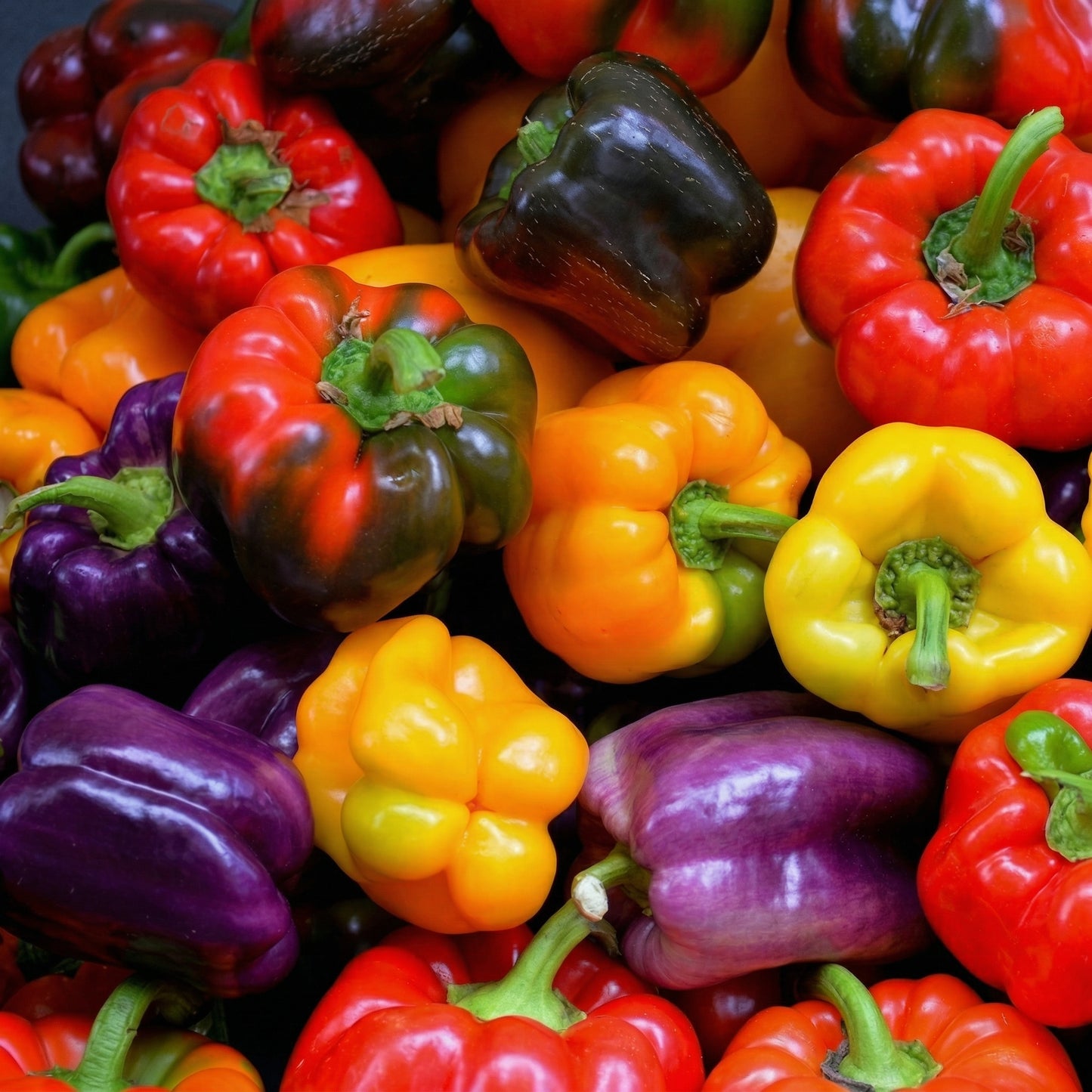 Mixed Pepper Seeds – 12 Variety Heirloom Hot & Sweet Pepper Seed Pack for Home Gardens