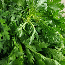 Garland Chrysanthemum Seeds – Heirloom Crown Daisy Leafy Vegetable Seeds for Home Gardens