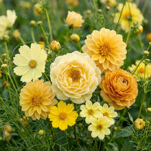 Mellow Yellow Mix Flower Seeds For Planting