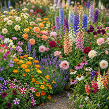 Mixed Ornamental Flower Seeds - Mixed Flower Seeds for Garden