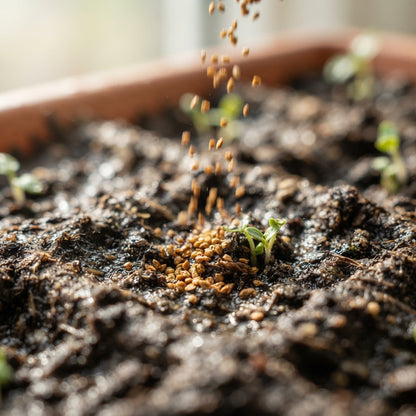 Hokowase Strawberry Seeds for Planting