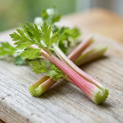 Pink Chinese Celery Herb Seeds