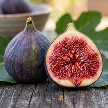 Fig Tree Seeds for Home Gardens