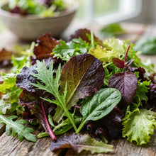 Mesclun Lettuce Seeds for Planting – Mixed Leaf