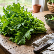 Wasabi Mustard Green Seeds (Brassica juncea) – Spicy Leaf Mustard Seeds