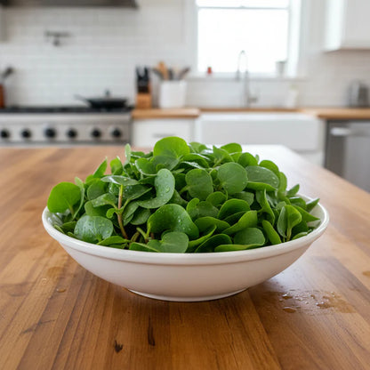 Miners Lettuce Seeds for Home Garden