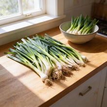 Leek Tadorna Seeds for Planting