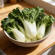 Pak Choi Extra Dwarf Seeds for Home Garden