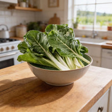 Silverbeet Silverton Seeds for Home Garden