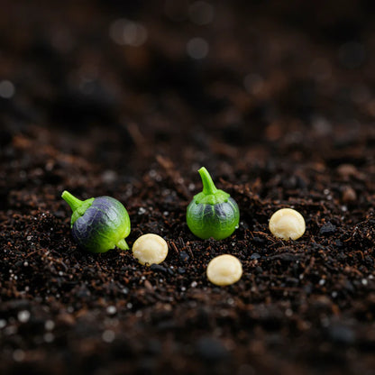 Pepper Midnight Pearl Babies Seeds – Pepper Seeds for Home Garden