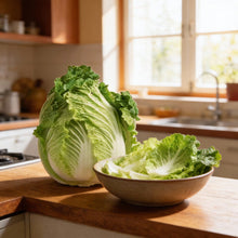 Wong Bok Chinese Cabbage Seeds for Home Garden