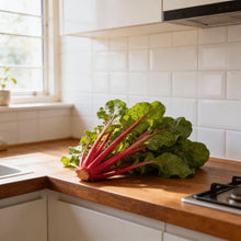 Rhubarb Chard Seeds for Home Garden