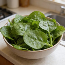 Malabar Spinach Basella Alba Seeds for Home Garden
