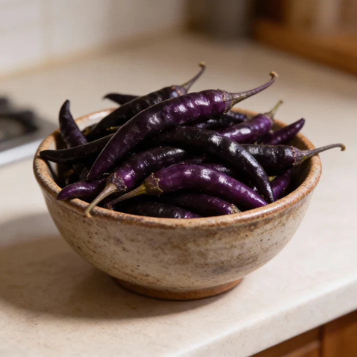 Chilli F1 Hybrid Deep Kali Seeds for Garden Planting