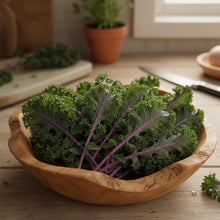 Red Kale Vegetable Seeds for Garden Planting