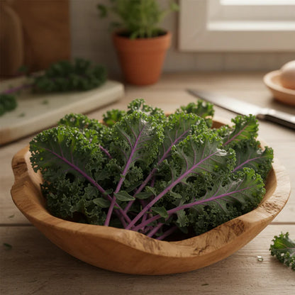 Red Kale Vegetable Seeds for Garden Planting