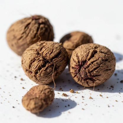 Beetroot Boltardy Vegetable Seeds for Planting