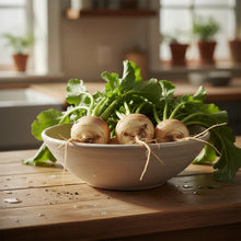 Cairns Family Heirloom Rutabaga Seeds for Home Gardening