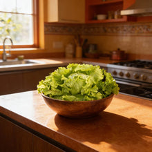 Webbs Wonderful Lettuce Seeds