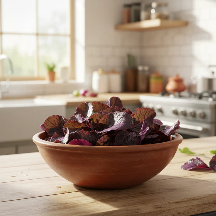 Osaka Purple Mustard Seeds for Home Garden