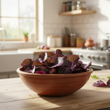 Osaka Purple Mustard Seeds for Home Garden