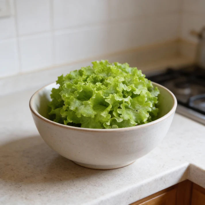 Tripoli Lettuce Seeds for Home Garden