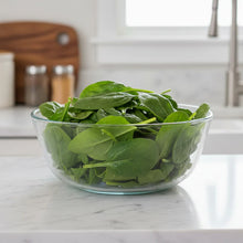 Indian Summer Spinach Seeds for Home Garden